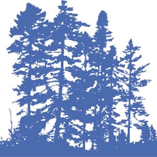 process-servers-in-ontario-cambium-legal-services